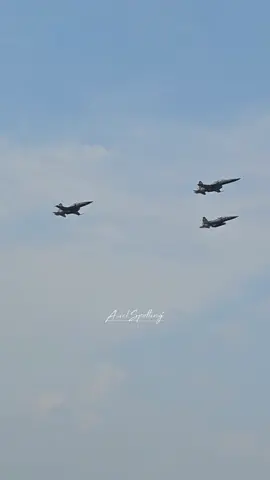 Ahora con ustedes, el rugir de los Tigres!! 🔥🔥🔥 pase bajo a alta velocidad de los aviones F-5 #aviacion #spotting #aviones #f5 #tiger #desfilemilitar #fuerzaaerea #fuerzaaereamexicana #lowpass #f5tiger #asielspotting #speed 