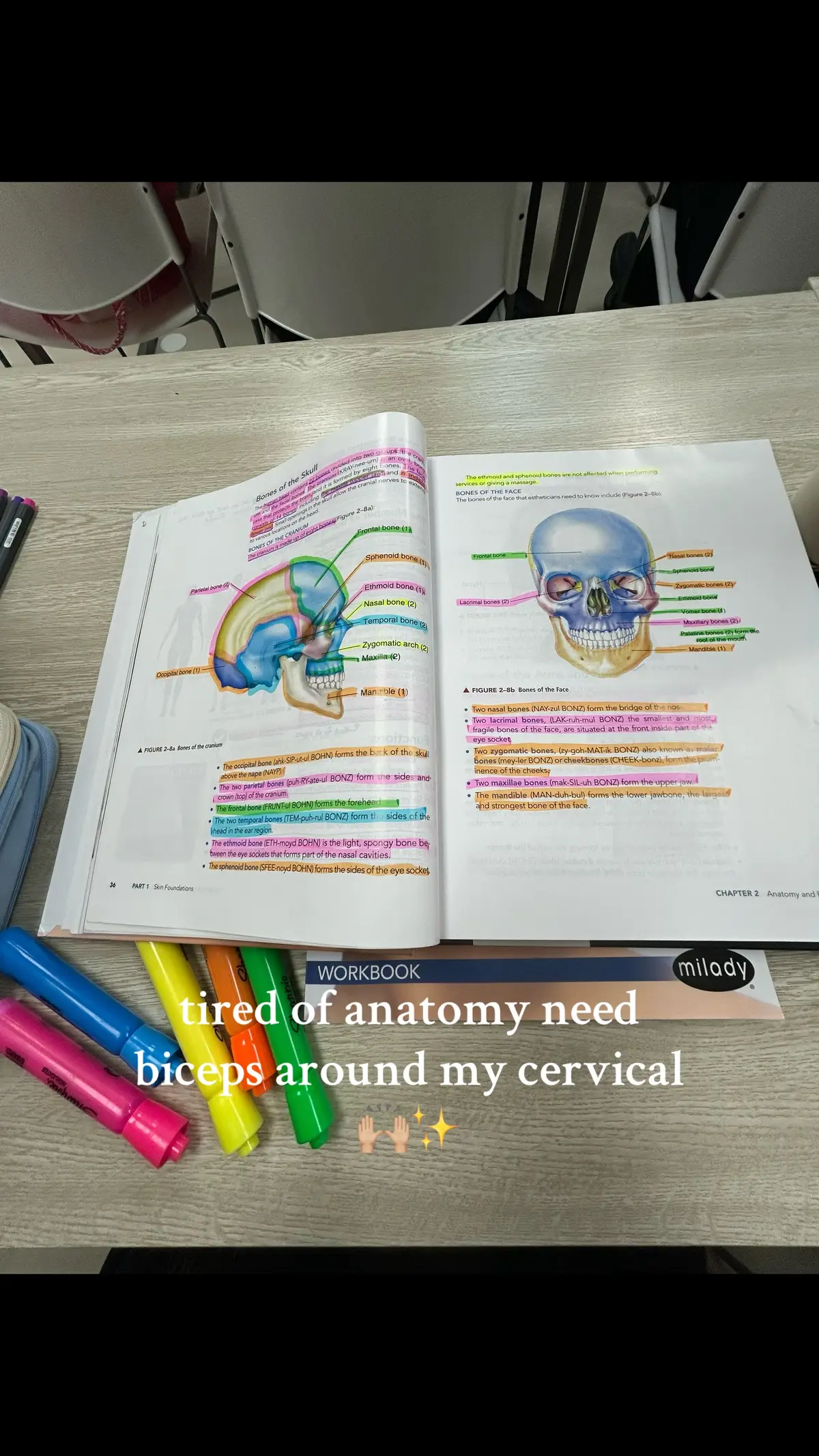 #anatomy #anatomyandphysiologyhelp #cervical #fyp #esthetician #study 