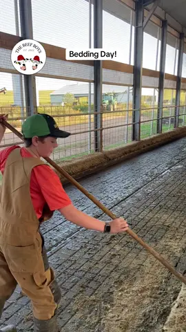 Cleaning up before bedding! #the_beef_boys #farmtok #farm #farmlife #cow #milk #bedding #manurepress #farmer #farmlife #fyp #foryou #fypシ゚ #dairy #raisedonafarm #new #song #country #tiktok #popular