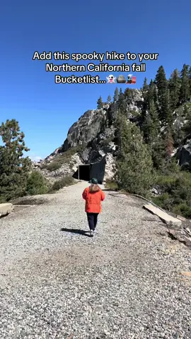 Super eerie hiking through the dark tunnels but definitely a unique trail!! #explorenorcal #northerncalifornia #fallactivities #travelcalifornia #truckeecalifornia #donnertunnels #spookyhike #hikingcalifornia #californiahikes #donnerpass #truckee #norcalhikes 