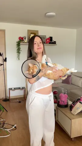 Mi gatico volvio a la veterinaria, creo que todo salio bien 😭❤️ #giraldos #fyp #longervideos 