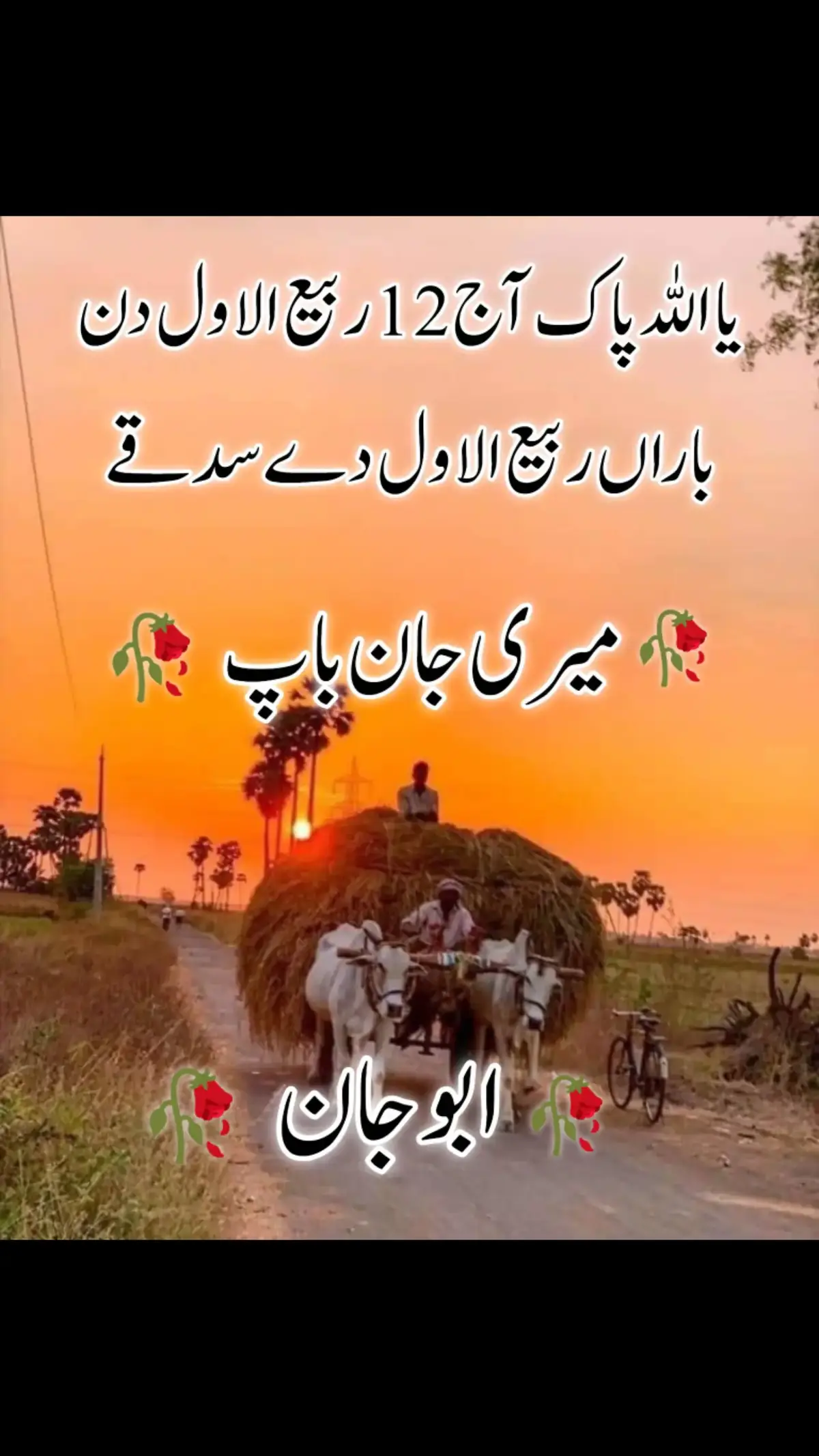 #سرائیکی_سٹیٹس،سرائیکی۔سونگ🌹  #سرائیکی_سٹیٹس،ویڈیو  #سرائیکی۔سونگ🌹✌️❣️ #اسٹیٹس۔۔۔۔۔۔۔۔۔۔❤ #اسٹیٹس_وائیرل #WhatsAppstatus  #whatsappstatusvideo #whatsappstatus #whatsappstatusshayari #whatsappstatustamil #whatsappstatuslyrics #whatsappstatuslari #whatsappstatussong #whatsappstatusmalayalam #status #statusvideo #statusparawhatsapp #statuswa #statusvideos #statuslover #statusgospel #statusselebritis #statusdemúsicas #statusharian #saraikisong #saraikisongs #saraikisongstatus #saraikisongs  #saraikisongs #saraikisongslovers #saraikiviral #saraikiviralsong #saraikiviralvideo #saraikiviralpoetry #saraikiviralvideos #viral #viralvideo #viraltiktok #virall #viral_video #viralvideos #viraliza #virale #viralllllll #viraliz , #saraiklove💔  #saraikistatus❤️💕  #saraikistatus786❤️  #statusvideo💔👍  #newsaraikistatus💪  #newsaraikistatus🤘  #newstatus❤️👍💪  #status💔💪  #statusvideo💛👍  #statusvideo💔👍   Tiktok team Unfreeze my Accounts ولا سوچ  @پیام عشق 