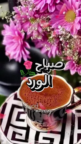 صباح النور والسرور ☕️🌸 #CapCut #قوالب_كاب_كات #nanoyaz #تصميم_فيديوهات🎶🎤🎬 #fyp #viraltiktok #trinding #صبايا #صباحكم_أحلى_صباح #بونجور 