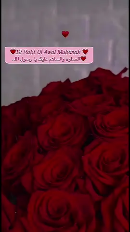 12 Rabi Ul Awal Mubarak❤️🌹🌸🌷#eidmeldunnabi #foryourpage #fypシ #1millionaudition #unfrezzmyaccount #islamic_video #uk #unitedontiktok #viraltiktok #burhan_tv #eidmela