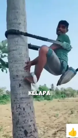 Cara mudah memanjat pohon kelapa dengan menggunakan alat seadanya #fyp #trending #viral #reels #shorts #vod #fbpro #facebookpro #pemula #pertanian #agriculture #farming #perkebunan #kebun #gardening #garden #harvesting #kelapa #pohonkelapa #manjatkelapa 