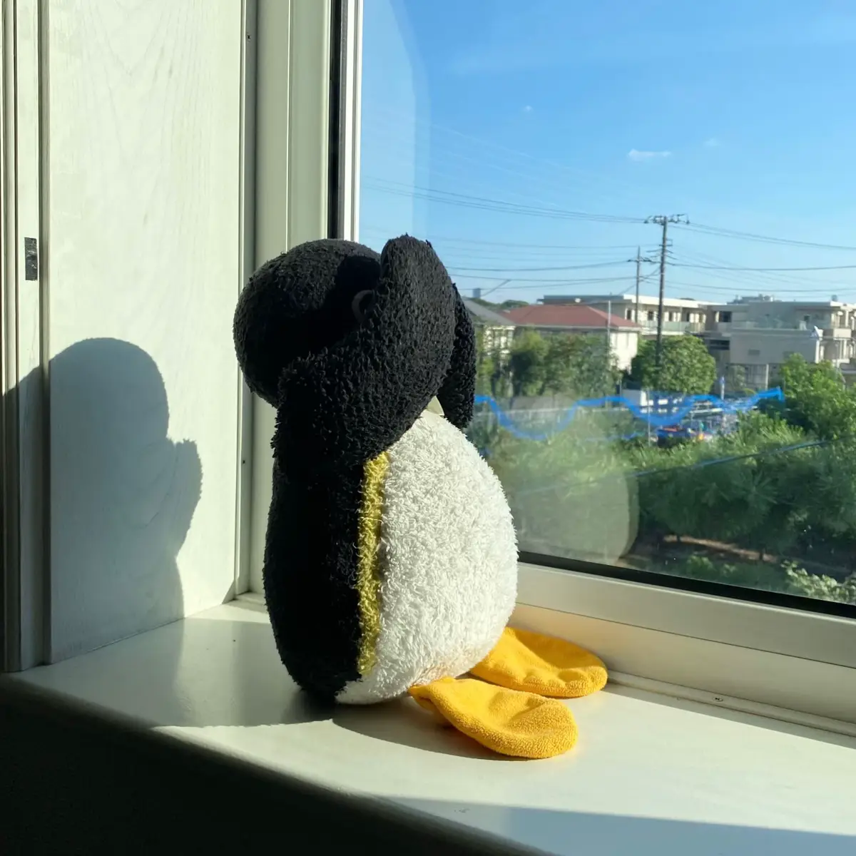 #ピングー #pingu #ぬい撮り #ペンギン #penguin #🐧 #太陽 #sun #stuffedanimals #plushies #nootnoot #japan 