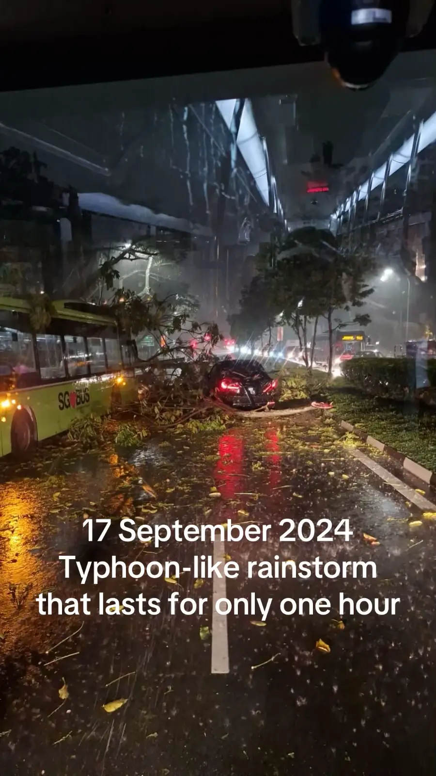 Its just a short duration rain but the wind that uprooted so many trees along the way though… #tiktoksg #fyp #singapore