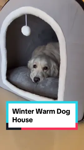 Winter Warm Dog House 🏠 #doghouse #dogbed #winter #dogs 