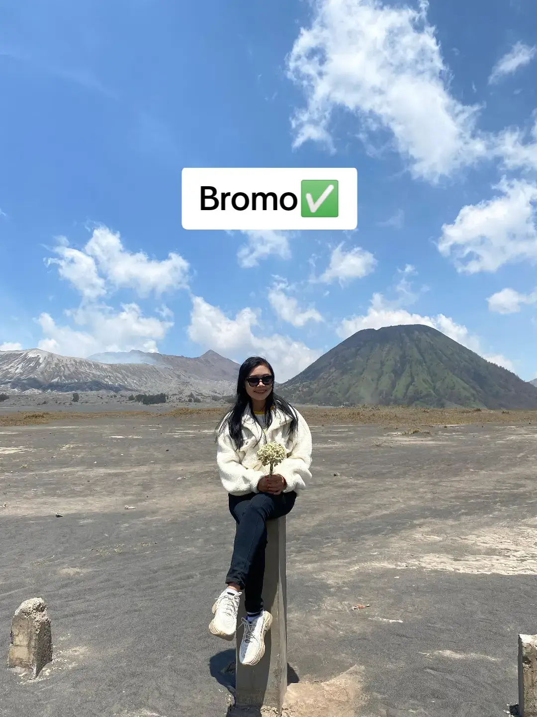 Abis ini kemana lagii ya? Rekomendd dongg😂 #wisata #probolinggo #lumajang #jember #situbondo #bromo #serunipointbromo #pantaiwotgalih #pantaibletok #gununggambir #bjbrprobolinggo #utamarayabeach #tumpaksewu #ecopark #airterjunkapasbiru #padangsavana #ranuklakah #pantaibohay #bukitdami 
