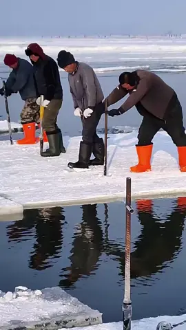 1000 year old ice harvest