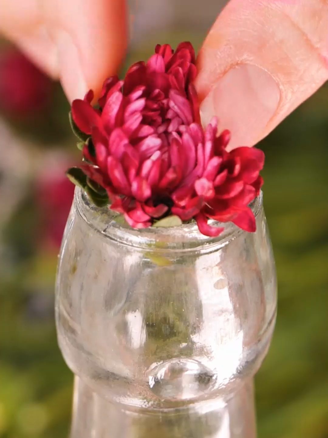 プロが教えるお花を長持ちさせる秘訣🌸✨ #DIY #gardening #桜 #ガーデン #花々