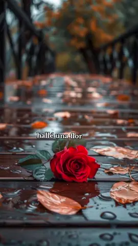 #salsaromantica  #salsaparadedicar  #salsaparaestados  #rolitassalseras #salsa  #marcanthony  #florpalidamarcanthony  #florpalida  #capcutamor  #paratii #fyp  #deysiovalle  🥀🌹🌹♥️