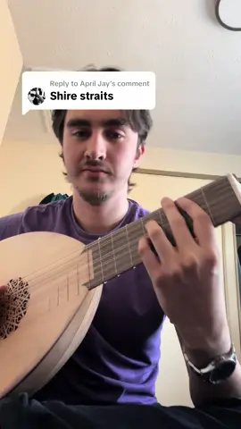 Replying to @April Jay I couldn’t think of an ye olde way of saying sultans of swing so y’all go ahead #direstraits #sultansofswing #lute #fyp 