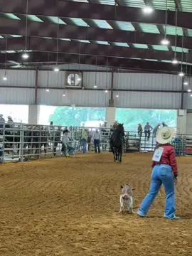Nothing better than those goat ribbon pulling videos! #cowboy #rodeotok #fy #funny 