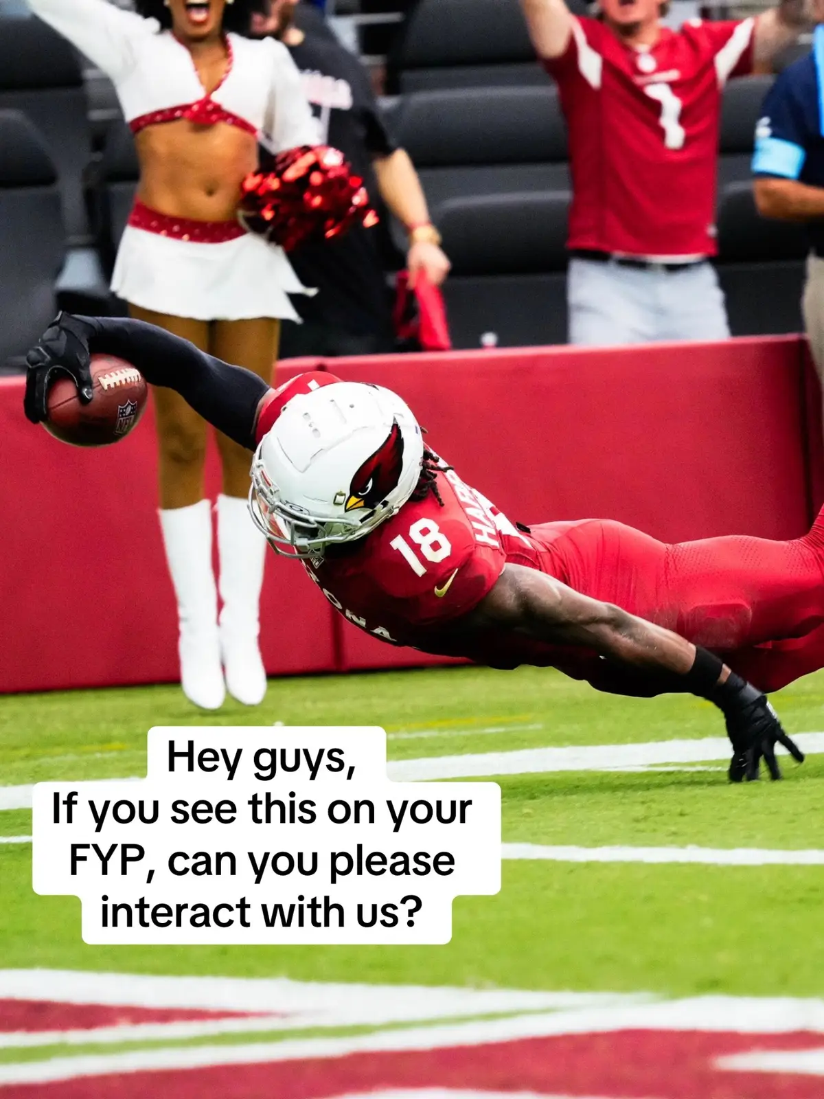 #nfl #football #cardinals #azcardinals #funny