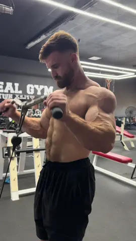 EZ Bar Reverse Curls #forearms #biceps #armday 