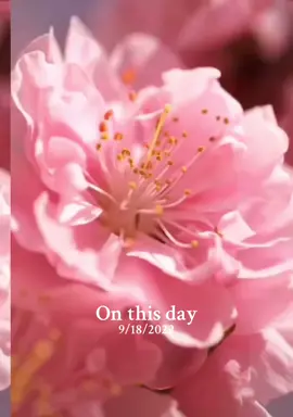 #onthisday 