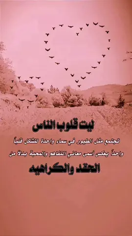 ليت قلوب الناس تجتمع مثل الطيور ...؟؟ #حالات_واتساب #كلام_من_ذهب #استوريات_انستا #حكم  #اقتباسات #خواطر #اقوال #عبارات_فخمه_قويه #اكسبلورexplore #viral  #explore  #like  #foryoupage  #duo  #tiktok 