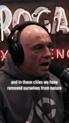 Joe Rogan talks about the strange reality of cities 🏙️ #city #nature #naturevibes #ecosystem #weird 