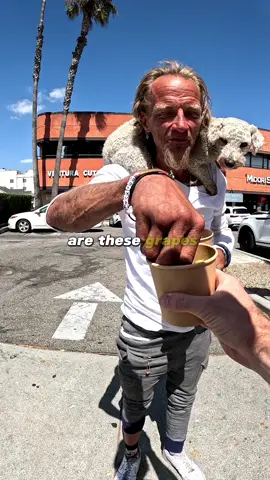 Street Review: Jared and his dog Opal try Organic Blueberries and Grapes 🐾—their reaction says it all. Would you give it a try?