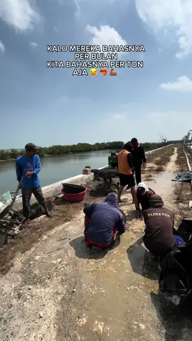 gaji ga harus per bulan 😂 #fyp #tambak #tambakudang #udang #udangvaname #vaname #budidaya #gresik #gresik24jam 