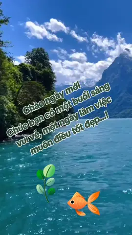 #chaobuoisang☘️ 