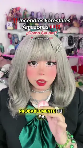 Nunca es tarde para ayudar 🥺💖🇵🇪 #kewiipuffle #chicacuy #arequipa_peru🇵🇪 #incendiosforestales #amazonas #peru #ayuda #informacion 