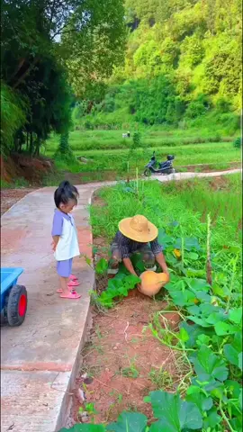 Mùa hè cháu phụ ông làm vườn#xedientreemtayninh #xechobe #2188 