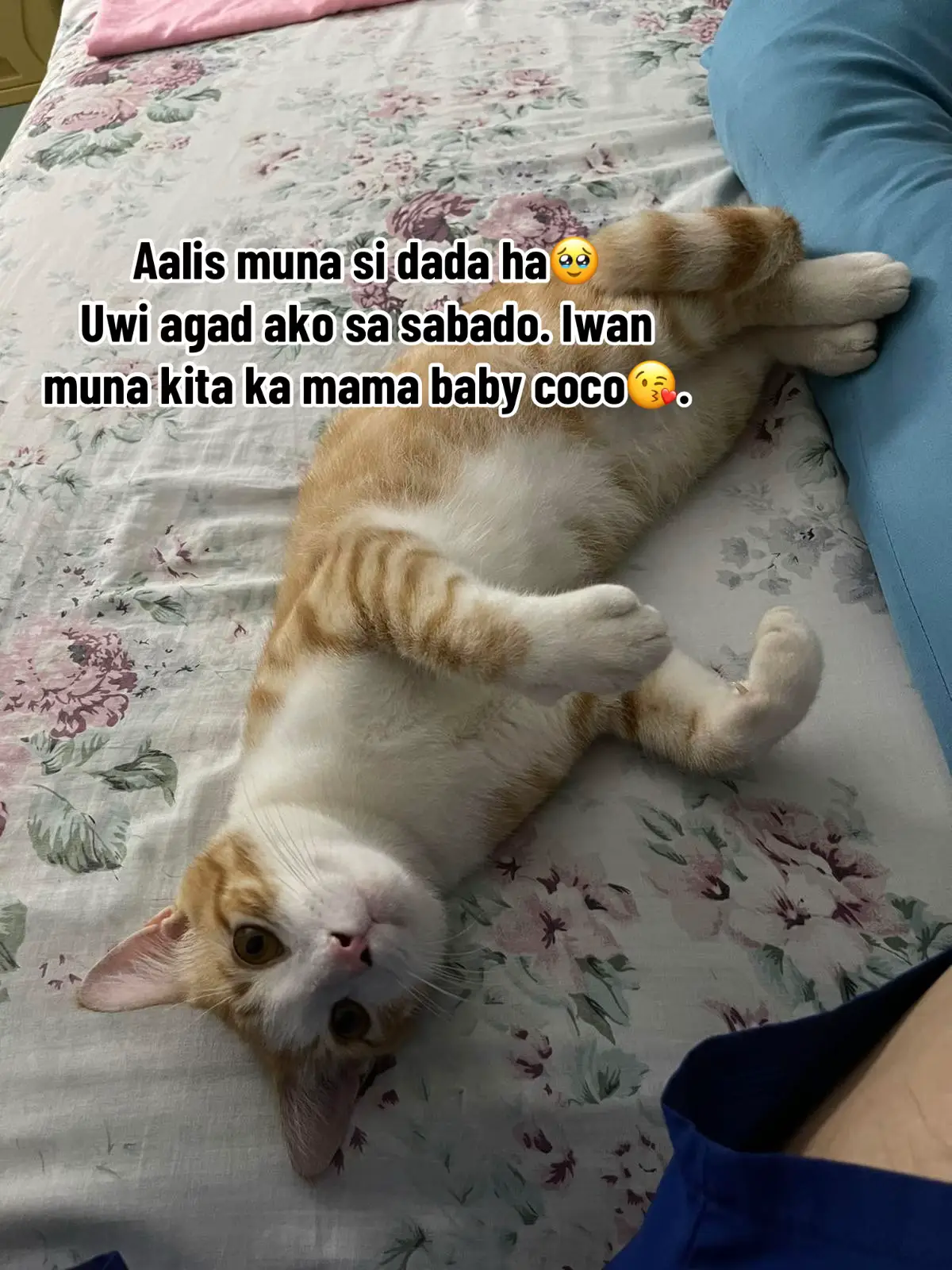 Sabi ni mama sa chat 