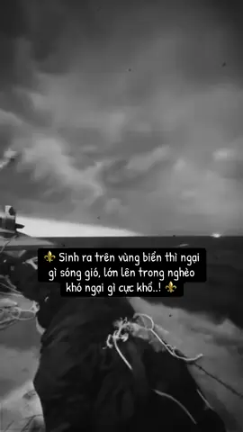 Sinh ra trên vùng biển thì ngại gì sóng gió..! #stt_buồn_tâm_trạng #xuhuongtiktok #cuocsong #story #đời #fypシ #tamtrang #meohoangtsc 