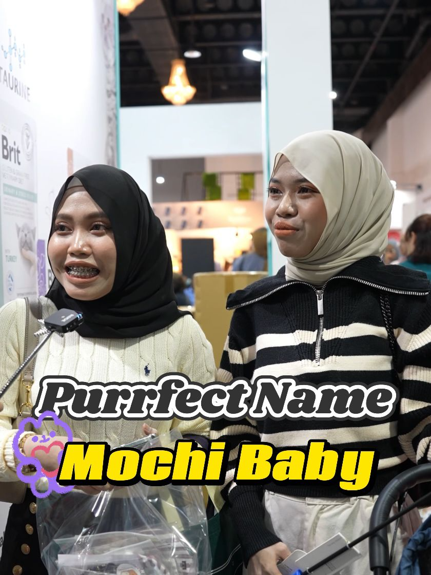 #purrfectname #purrfect #catnames #cats #sicomel #kucingkusayang #kucingcomel #kucingtiktoklucu #catsoftiktok #streetinterview #catstory #catstorytime #catfyp #catfypage #storysharing #foryou #foryoupagee #fyp #fyppppppppppppppppppppppp #Malaysia