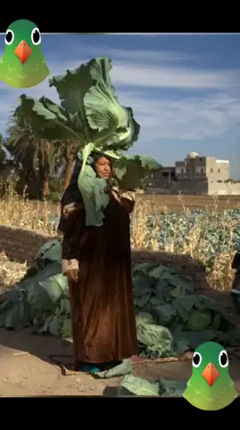 خضره اني خضره