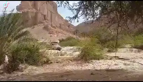 سواق يمني يقوم بالعزف أغاني على الهرن   ترند الشحر #المكلاء #حضرموت $