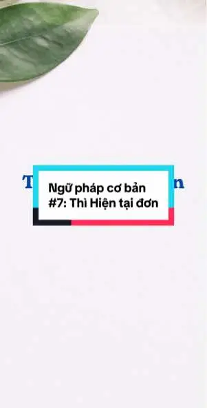 Ngữ pháp cơ bản #7: Thì Hiện tại đơn #basicgrammar #hoctienganhmoingay #hoctienganh #toeiconline #hoctoeic #LearnOnTikTok #learningenglish #studyenglish #englishlesson #englishgrammar #tienganhonline #tienganhgiaotiep #tienganhchonguoimatgoc #tienganhmoingay #toeic 
