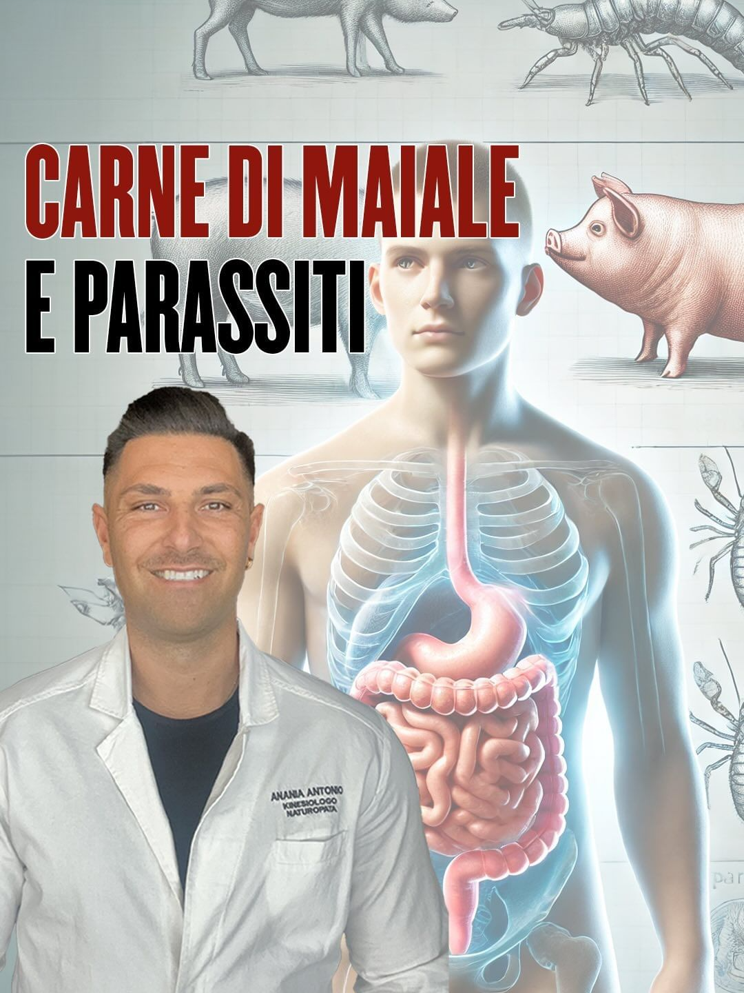 📌 𝐂𝐀𝐑𝐍𝐄 𝐃𝐈 𝐌𝐀𝐈𝐀𝐋𝐄 𝐄 𝐏𝐀𝐑𝐀𝐒𝐒𝐈𝐓𝐈 🟡 la carne di maiale è la carne più simile all’essere umano e solo per questo andrebbe evitata 🟡 ma oltre a questo c’è la questione parassitaria 🟡 perché la carne di maiali viene sconsigliata alle donne in gravidanza ? 🫵 guarda il Reel e scopri di più ✅ 𝐂𝐎𝐍𝐓𝐀𝐓𝐓𝐀𝐌𝐈 𝐏𝐄𝐑 𝐈𝐍𝐈𝐙𝐈𝐀𝐑𝐄 𝐔𝐍 𝐏𝐄𝐑𝐂𝐎𝐑𝐒𝐎 𝐂𝐎𝐍 𝐌𝐄 𝐎 𝐏𝐄𝐑 𝐏𝐑𝐄𝐍𝐎𝐓𝐀𝐑𝐄 𝐔𝐍𝐀 𝐕𝐀𝐋𝐔𝐓𝐀𝐙𝐈𝐎𝐍𝐄 𝐈𝐍 𝐒𝐓𝐔𝐃𝐈𝐎 𝐎 𝐔𝐍𝐀 𝐂𝐎𝐍𝐒𝐔𝐋𝐄𝐍𝐙𝐀 𝐎𝐍𝐋𝐈𝐍𝐄