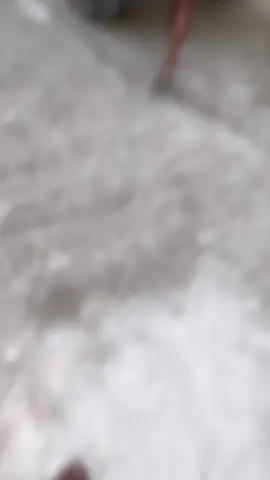 #CapCut 