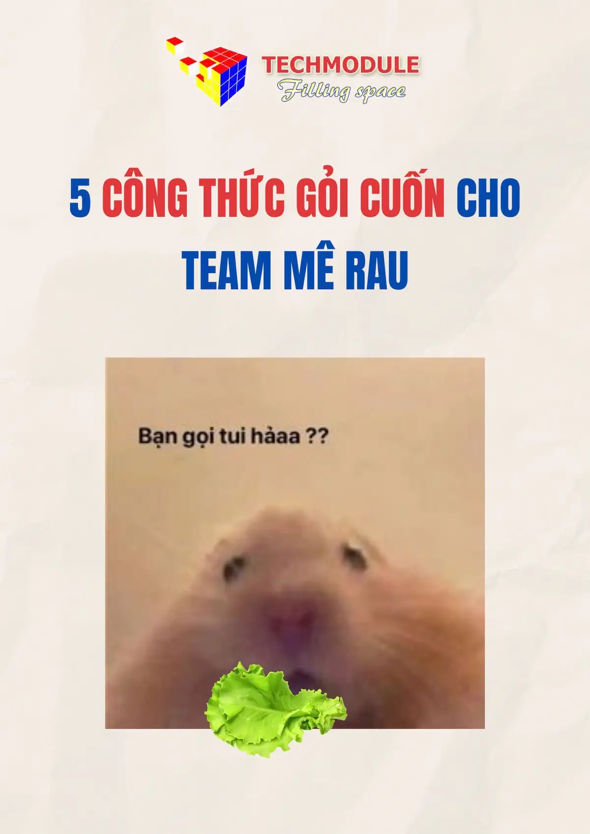 Tổng hợp 5 công thức gỏi cuốn cực nhiều rau, healthy cho team mê rau nè #LearnOnTikTok #meovatcuocsong #tips #anngonnaugon #monngon #amthuc #techmodule 