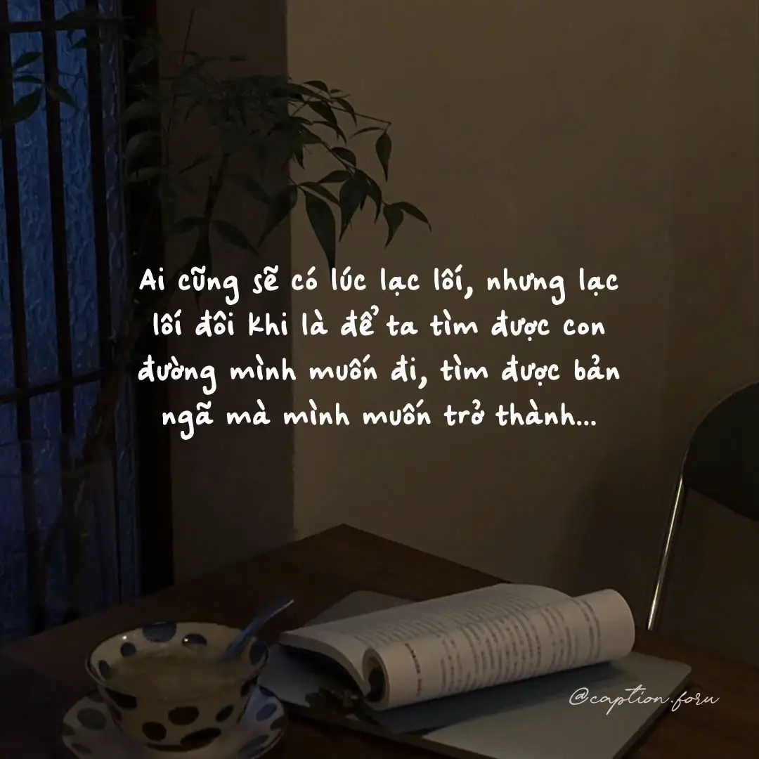 Tôi đi tìm tôi giữa những gì lộn xộn... #aicungcanketthucdelaibatdau #BookTok #LearnOnTikTok #sach #quotes #trichdanhay 