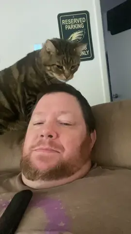 The anticipation 😭😭😭 #catsoftiktok #cattoks #funnycat  📽️ @Newsflare 