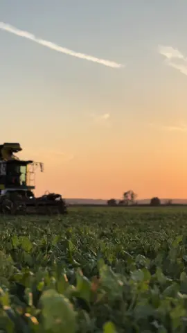 Ooo fastrac 🤌🌅 #fyp#mensmentalhealth#mentalhealthmatters#harvest24🌾#ropa#jcb8330#yfc#britishsugar#contractors#fastrac#latenightthoughts 