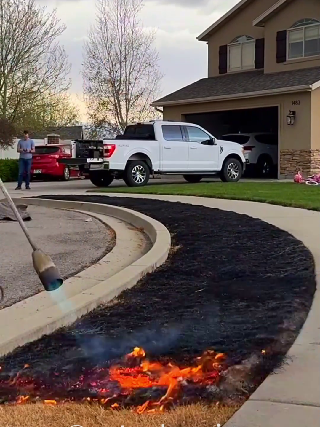 Satisfying Gardening Work 🤩🍀 #garden #gardening #satisfying #cleaning