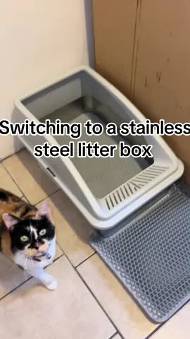 #cat #cats #catsoftiktok #catlover #litterbox 