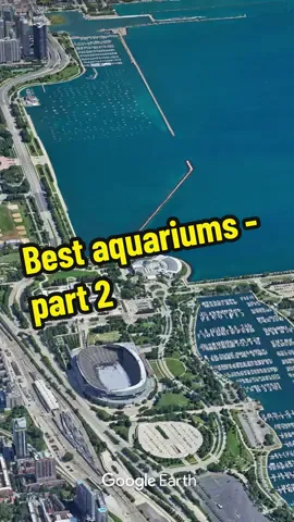 The best aquariums to visit in the United States #aquariums #aquarium #usa #top10 #visit #georgiaaquarium 