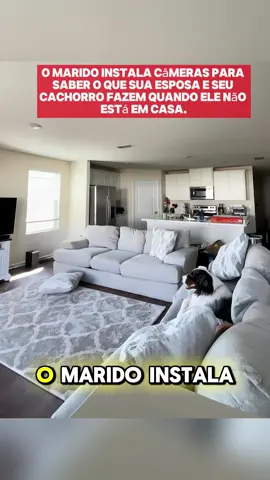 Descubra a verdade por trás da estranha relação entre Carla, seu cachorro Thor e seu marido Marcos! O que as câmeras ocultas instaladas por Marcos capturaram? Não perca essa história incrível! #RelaçãoEstranha #CâmerasOcultas #CachorroSurpreendente #Mistério
