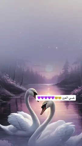 بشارة مولوده ضي تهبل 🥺💜💜💜💜💜💜 #اكسبببببببببببللللللىوووووررررر #مصممة_دعوات_الكترونية #مالي_خلق_احط_هاشتاقات🦦 #ضي #عيني #عبدالمجيدعبدالله #اكسبلورexplore #اكككككككككككسسسسسبلللور #مالي_خلق_احط_هاشتاقات #دعوة_الكترونية #بشارة_حفيدتي #مولوده 