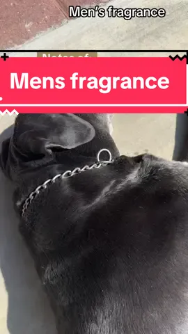 #creatorsearchinsights Frahranve for men Rugged and sweet #tiktokshop #men #fragrance #bestfragrance #ycz 