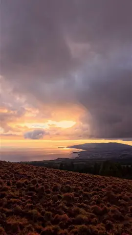 Purple Sunrise #sunrise #sun #sunny #morning #amazingview #amazingviews #azores #natureza #nature #aesthetics #photography #naturephotography #naturelover #naturelovers #relax #relaxing #relaxation #relaxingvideos