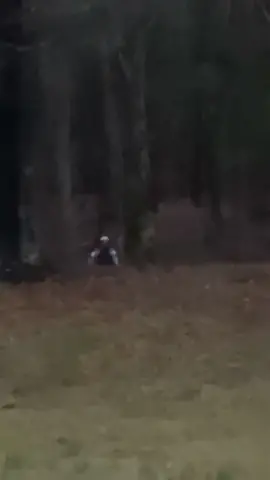 The Rake Spotted Hiding In Woods #scary #creepy #horror #therake #paranormal 