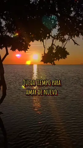 Deja aliento vida mía para otra noche de pasion desenfrenada como la de hoy Amor de Contrabando - Omar Alfanno  #salsaconletra #salsaromantica #salsabaul  #parati 