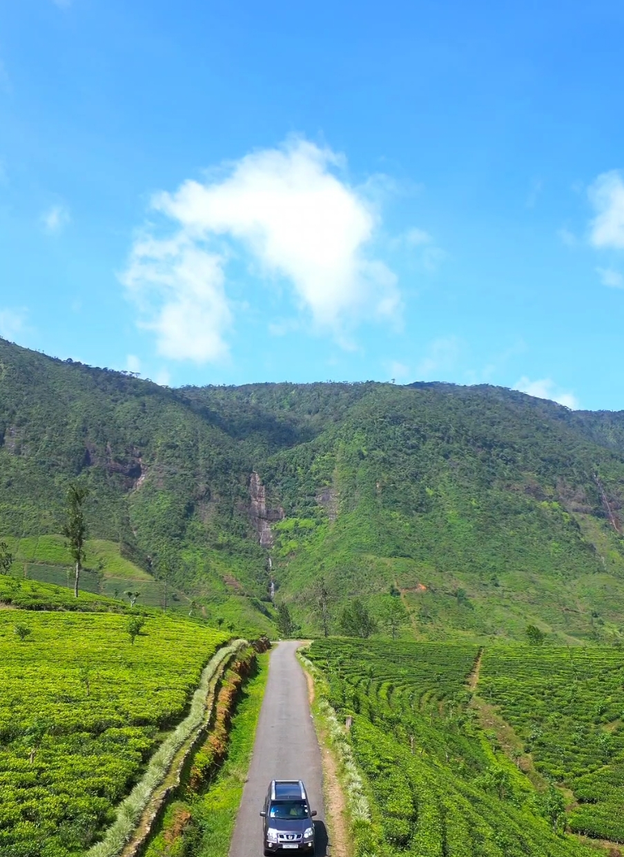 Gartmore Road. Maskeliya Sri Lanka #dji_mini_3_pro #drone #dji #visit_srilanka #srilanka #srilankan_tik_tok🇱🇰 #srilankan #visitsrilanka🇱🇰 #visit_srilanka🇱🇰 #visitsrilanka #srilankatiktok #gartmore #gartmore_srilanka #gartmore_road #nissan #xtrail #t31 #maskeliya_srilanka #maskeliya 